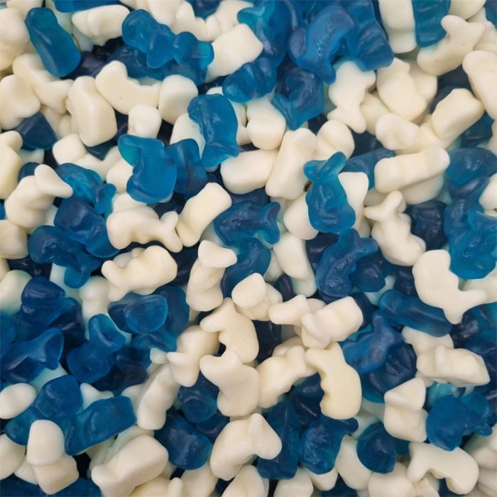 250g Baby Blue Dolphins