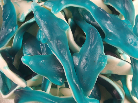Giant Dolphins 300g